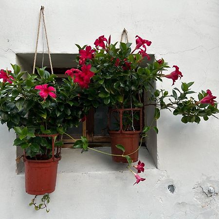 緩緩歸 Slow Living Tainan Luaran gambar