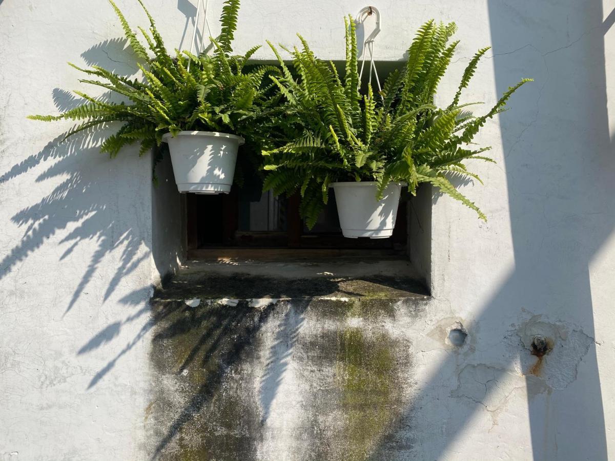 緩緩歸 Slow Living Tainan Luaran gambar