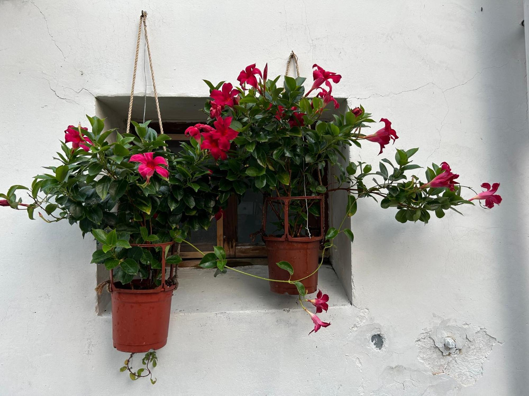緩緩歸 Slow Living Tainan Luaran gambar